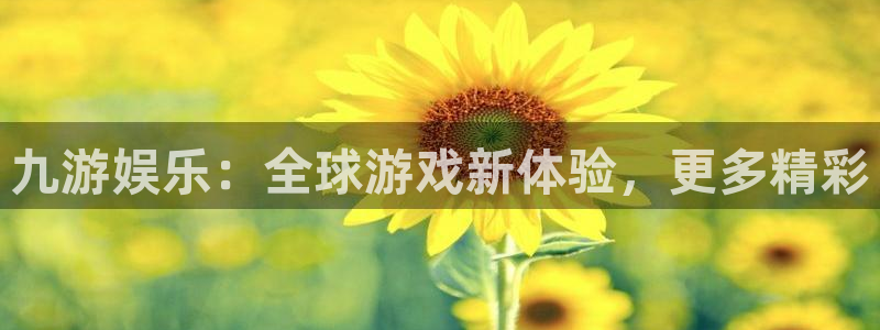 2元网：九游娱乐：全球游戏新体验，更多精彩