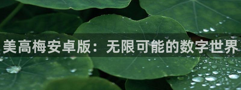 2元彩票凯捷注册：美高梅安卓版：无限可能的数字世界