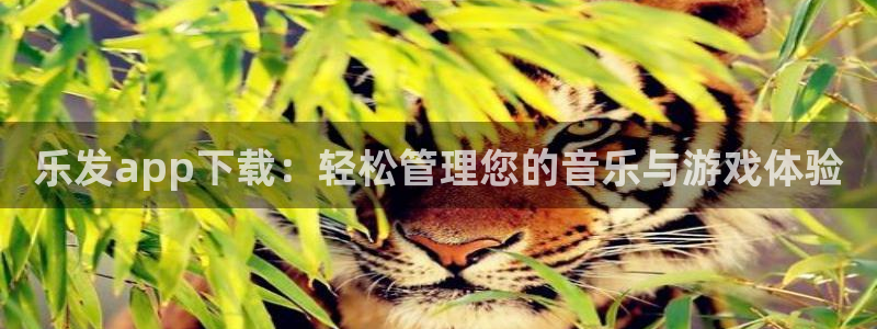 2元彩票体育代理：乐发app下载：轻松管理您的音乐与游戏体验