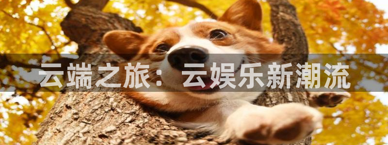 2元彩票环保：云端之旅：云娱乐新潮流