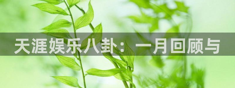 2元彩票平台在线注册：天涯娱乐八卦：一月回顾与