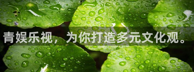 福建2元彩票机电股份公司：青娱乐视，为你打造多元文化观。