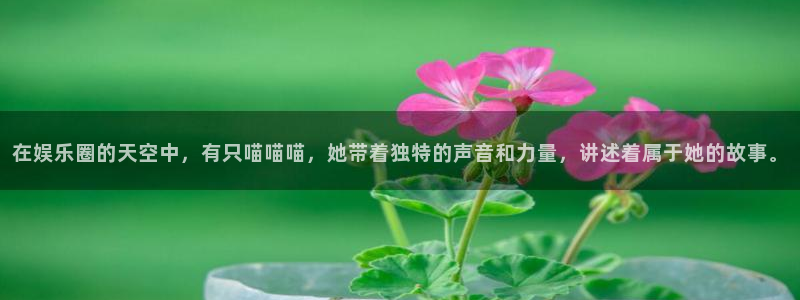 东莞市2元彩票电子科技有限公司：在娱乐圈的天空中，有只喵喵喵，她带着独特的声音和力量，讲述着属于她的故事。