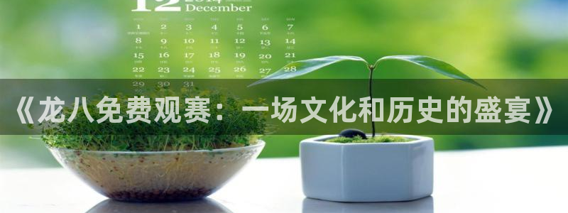2元彩票k：《龙八免费观赛：一场文化和历史的盛宴》