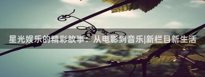 2元网3d走势图：星光娱乐的精彩故事：从电影到音乐|新栏目新生活
