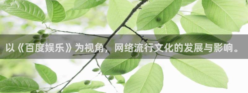 福建2元彩票机电股份公司：以《百度娱乐》为视角，网络流行文化的发展与影响。