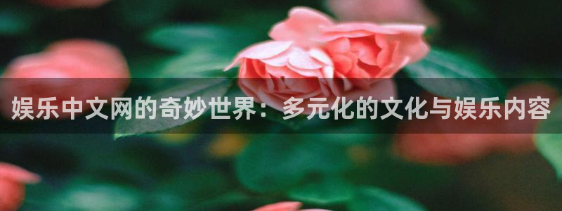 2元彩票体育合法嘛：娱乐中文网的奇妙世界：多元化的文化与娱乐内容