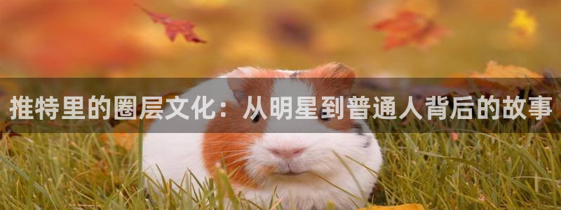 德国2元彩票集团：推特里的圈层文化：从明星到普通人背后的故事