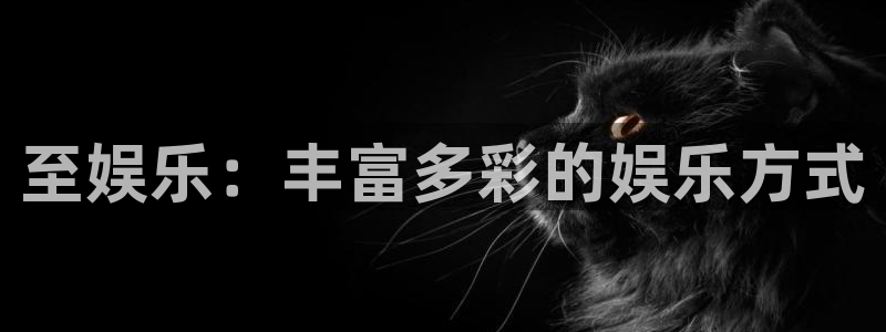 2元彩票凯捷开号链接：至娱乐：丰富多彩的娱乐方式