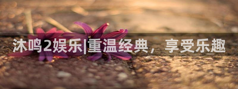 2元彩票体育和杏耀是哪个公司的：沐鸣2娱乐|重温经典，享受乐趣