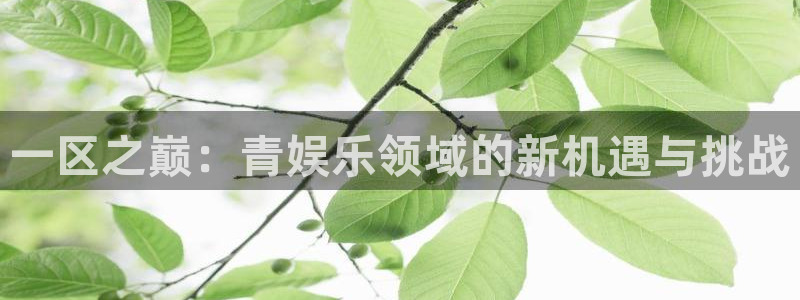 2元彩票2平台注册：一区之巅：青娱乐领域的新机遇与挑战