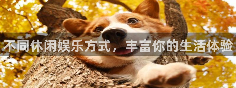 2元彩票官网：不同休闲娱乐方式，丰富你的生活体验