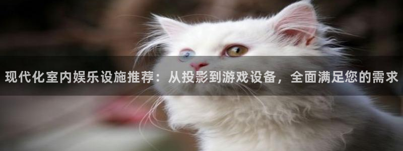 德国2元彩票集团：现代化室内娱乐设施推荐：从投影到游戏设备，全面满足您的需求