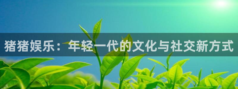 德国2元彩票集团：猪猪娱乐：年轻一代的文化与社交新方式