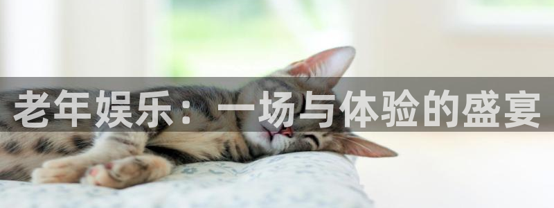 2元彩票体育代理申请流程：老年娱乐：一场与体验的盛宴