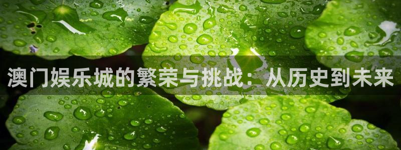 2元彩票主管：澳门娱乐城的繁荣与挑战：从历史到未来