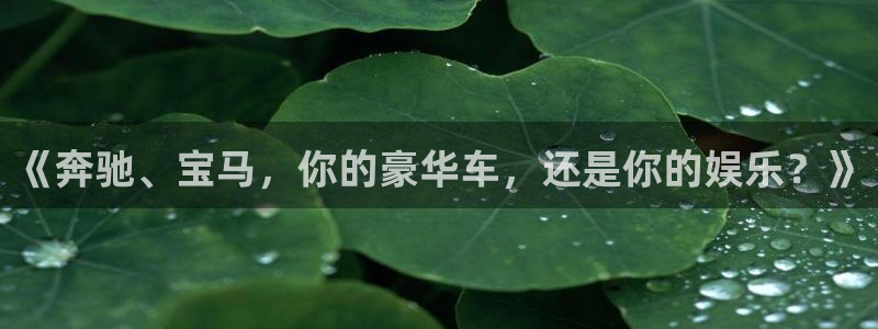 2元彩票股份