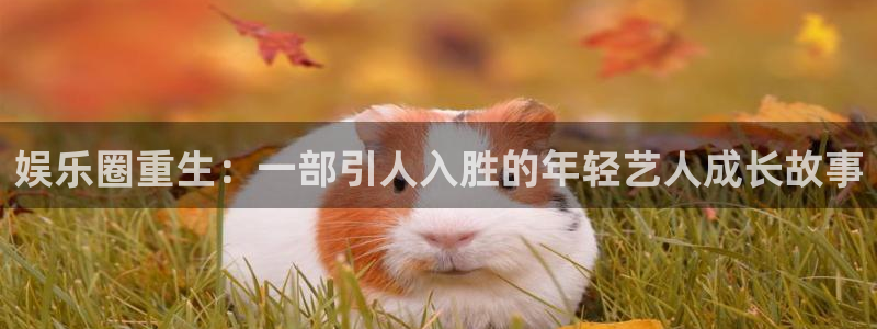 2元彩票代理注册官网入口：娱乐圈重生：一部引人入胜的年轻艺人成长故事