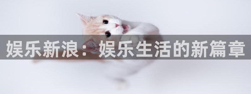 2元彩票体育在线注册：娱乐新浪：娱乐生活的新篇章