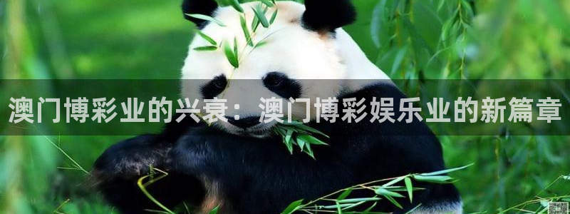 2元彩票登录注册：澳门博彩业的兴衰：澳门博彩娱乐业的新篇章
