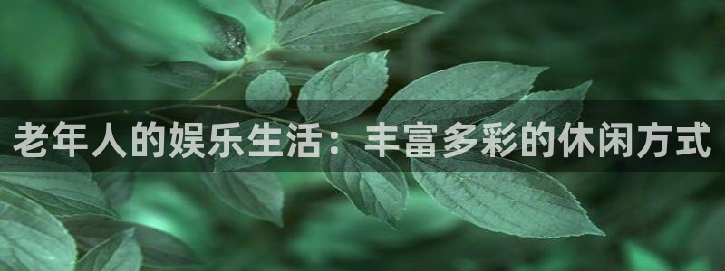 2元彩票2体育：老年人的娱乐生活：丰富多彩的休闲方式